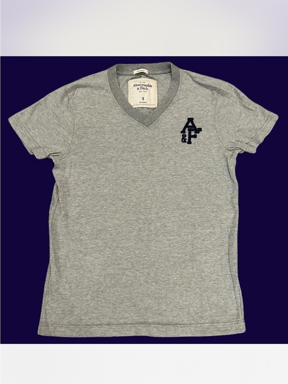 Abercrombie & Fitch Kids Light Gray V-Neck Tee with Navy Logo